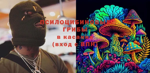 молекула духа Каменск-Шахтинский
