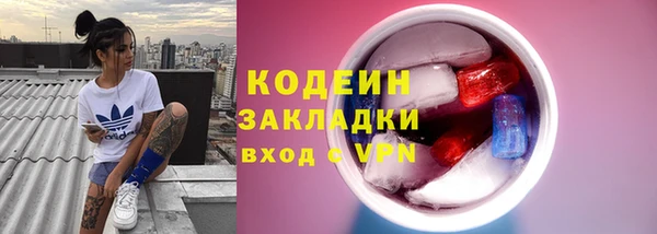 индика Краснослободск