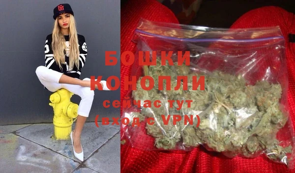 не бодяженный Галич