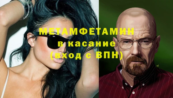 прущие грибы Краснотурьинск
