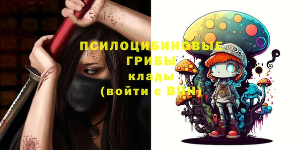 хмурый Козловка