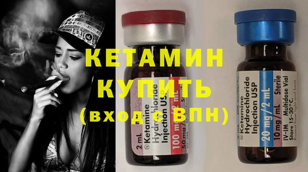 индика Краснослободск