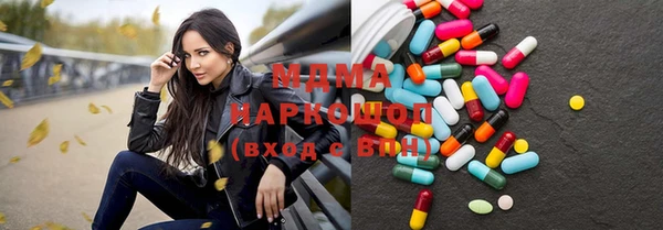 индика Краснослободск