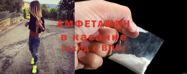 прущие грибы Краснотурьинск
