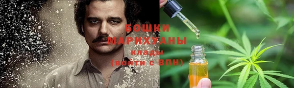 хмурый Козловка