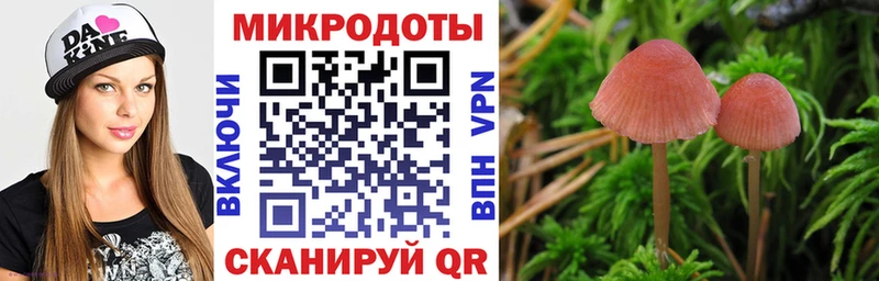 что такое   блэк спрут вход  Псилоцибиновые грибы мухоморы  Комсомольск 